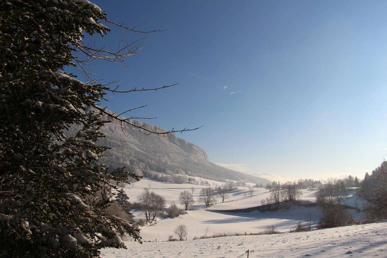 Cafe Brochier Hotel Saint-Julien-en-Vercors Bagian luar foto